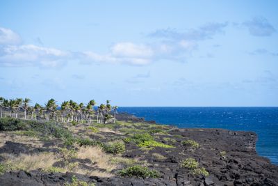 _DSC5827.JPG