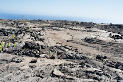 Lava Flow - Mountain top to the sea