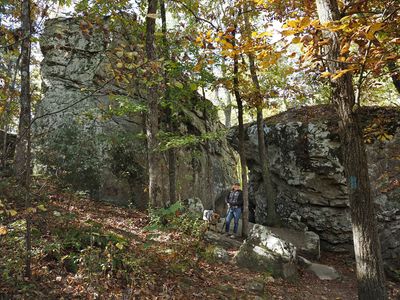PA195893.jpg