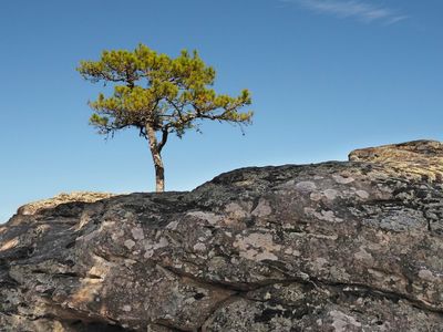 PA206060.jpg