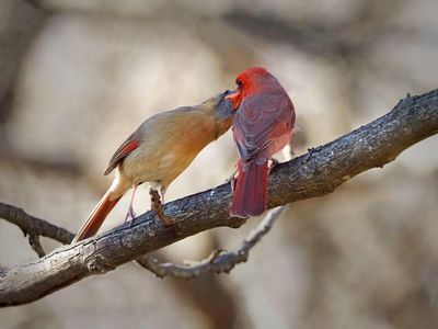 P1197039 - Love Struck.jpg