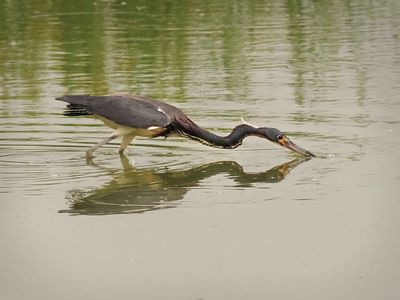 P5105093.jpg