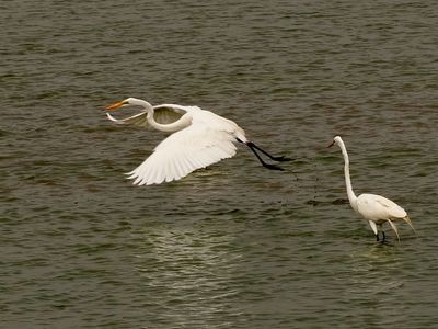 P5105120.jpg