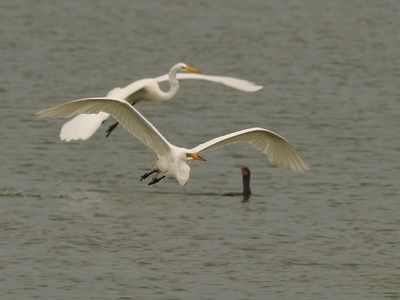 P5105277.jpg