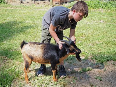 P5274852.jpg - Grandson, Judah and his pet goat, 'Melvin'