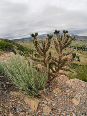 P6099522.jpg