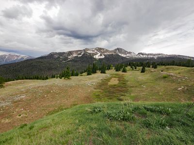 P6109574.jpg