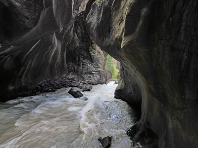 P6119639.jpg