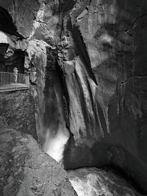 P6119642.jpg
