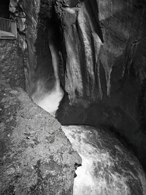 P6119644.jpg