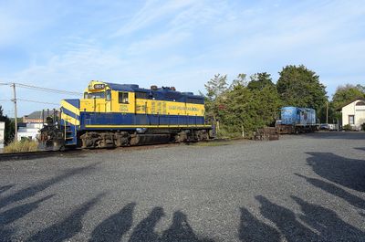 38 Group Shot of shadows