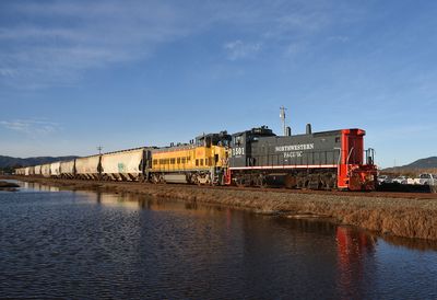 nwp3365.jpg