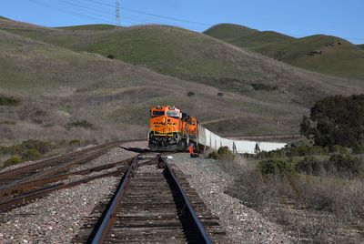 Collier CA