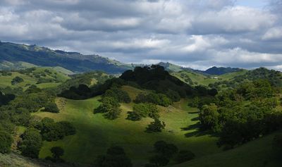 Beautiful East Bay