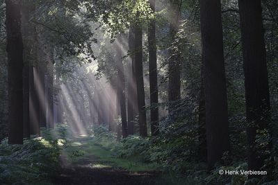 Landscapes - Nature impressions