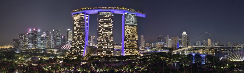 Supertree Observatory Panorama by night