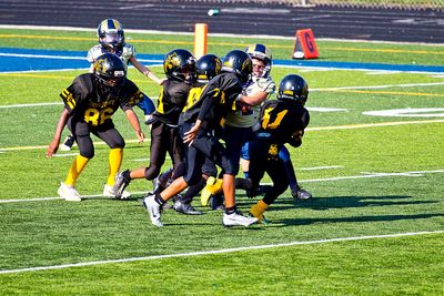 7D2_4772 copy.jpg