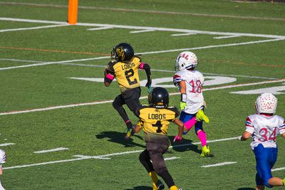 7D2_6469 copy.jpg