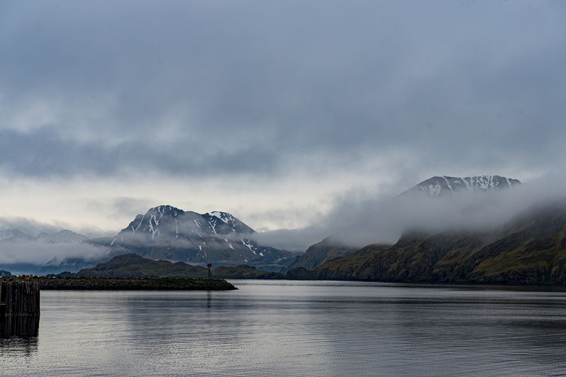 Adak_D415615-Edit-2-Edit.jpg