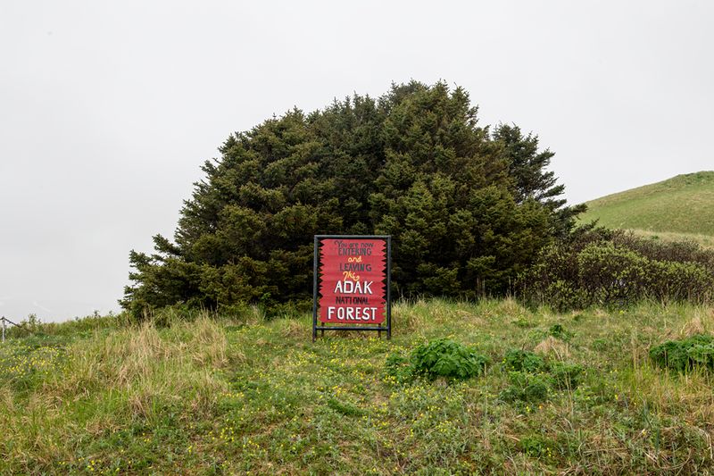 Adak Forest