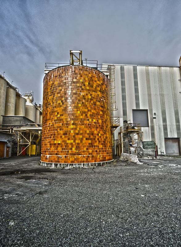 Humbolt Paper_RLS2203-Edit-Edit.jpg
