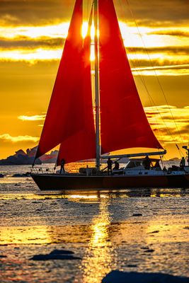 _Z920585-Edit.jpg