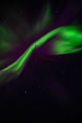 _Z919610-Edit-19.jpg