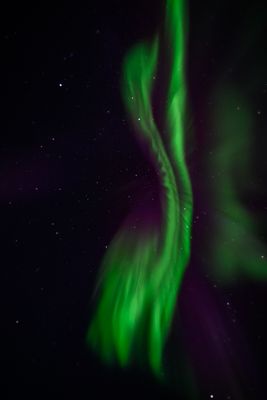 _Z919613-Edit-21.jpg