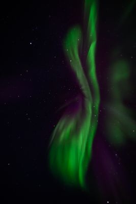 _Z919614-Edit-22.jpg
