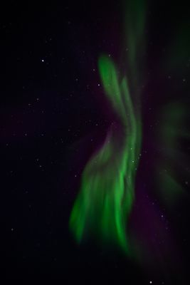 _Z919616-Edit-24.jpg