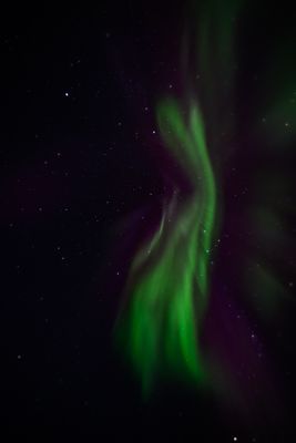 _Z919617-Edit-25.jpg