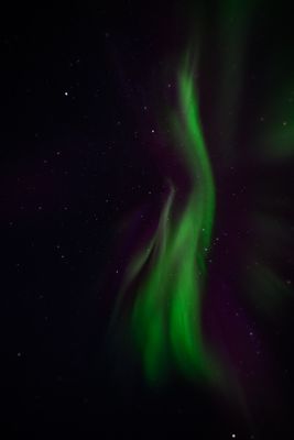 _Z919618-Edit-26.jpg