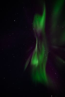 _Z919620-Edit-28.jpg