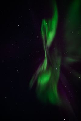 _Z919621-Edit-29.jpg