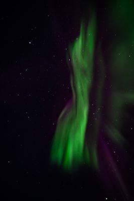 _Z919623-Edit-31.jpg