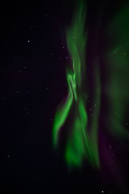 _Z919625-Edit-33.jpg