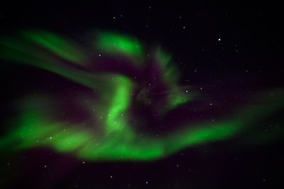 _Z919653-Edit-51.jpg