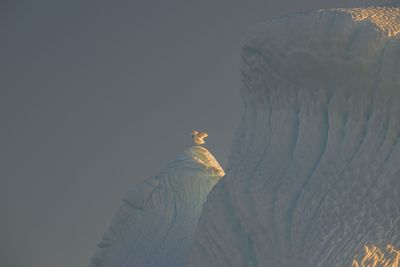 _Z920872-Edit-WE.jpg