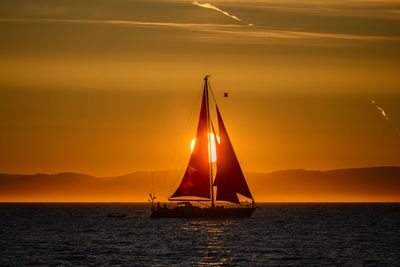_Z921977-Edit-WE.jpg