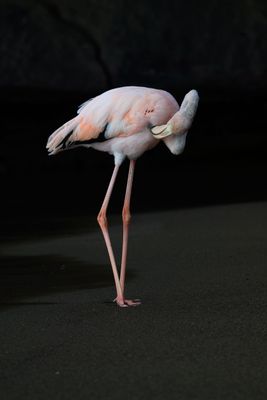 _Z911449-EditWE.jpg