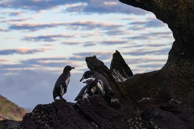 _Z910205-Edit-Edit-WE.jpg