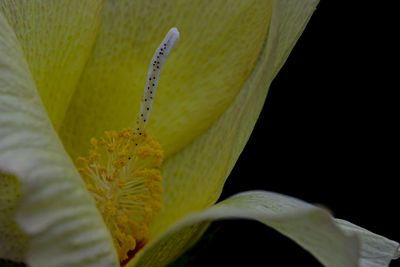 _Z910417-EditWE.jpg
