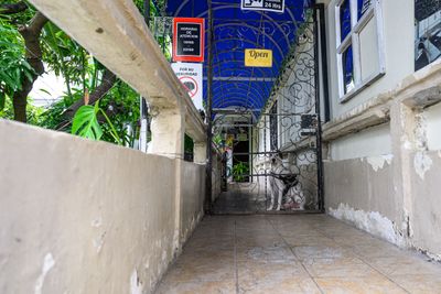 _Z920642-EditWE.jpg