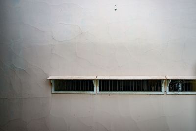 _Z920677-Edit-Edit-WE.jpg