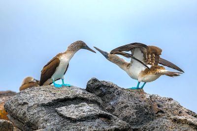 8m8z1utcdrn-0 (1).jpg