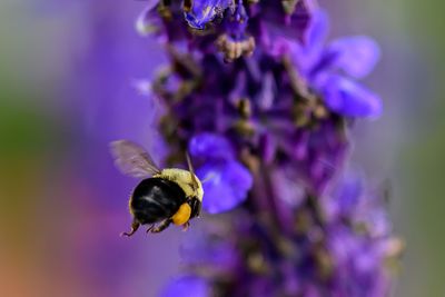 _Z925852-Edit-WE.jpg