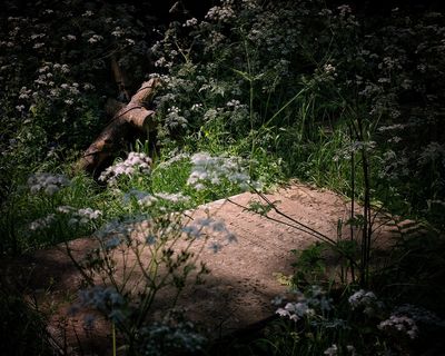 g13/20/2329920/3/173668145.814dd83a.JPEG