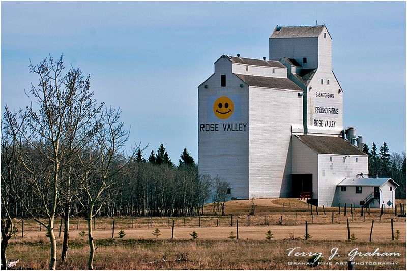 Rose Valley