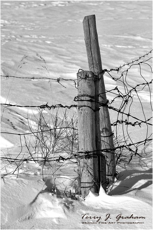 Fence Post in the Snow