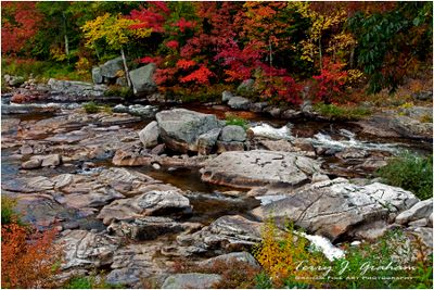 Fall Colours - Stream